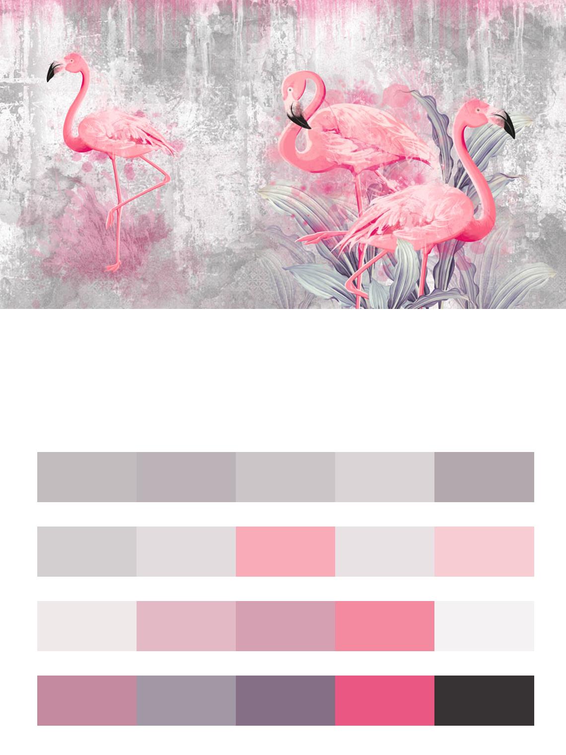 Фламинго на сером фоне цвета